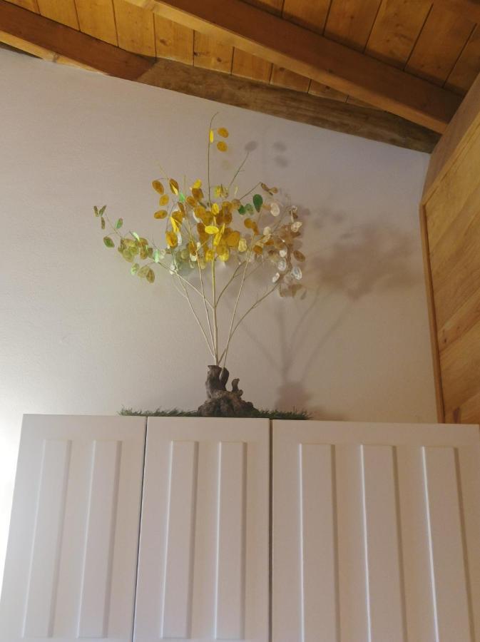 Habitacion Da Moura Maus de Salas Kültér fotó